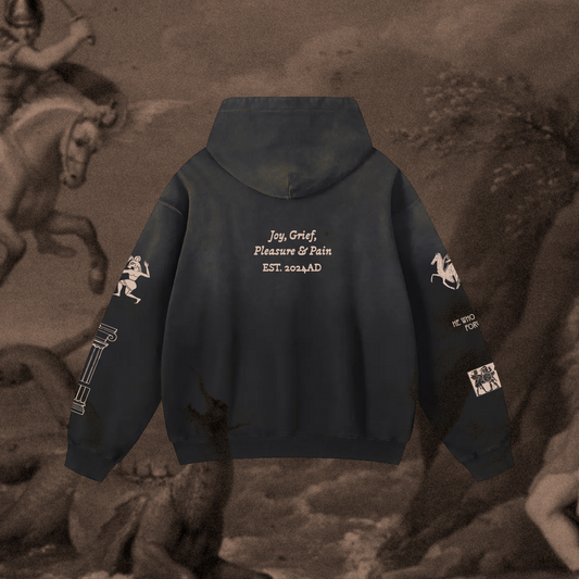 Joy, Grief, Pleasure & Pain Hoodie